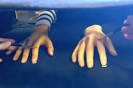 A demonstration of the Rubber Hand Illusion. (University of Sussex)
