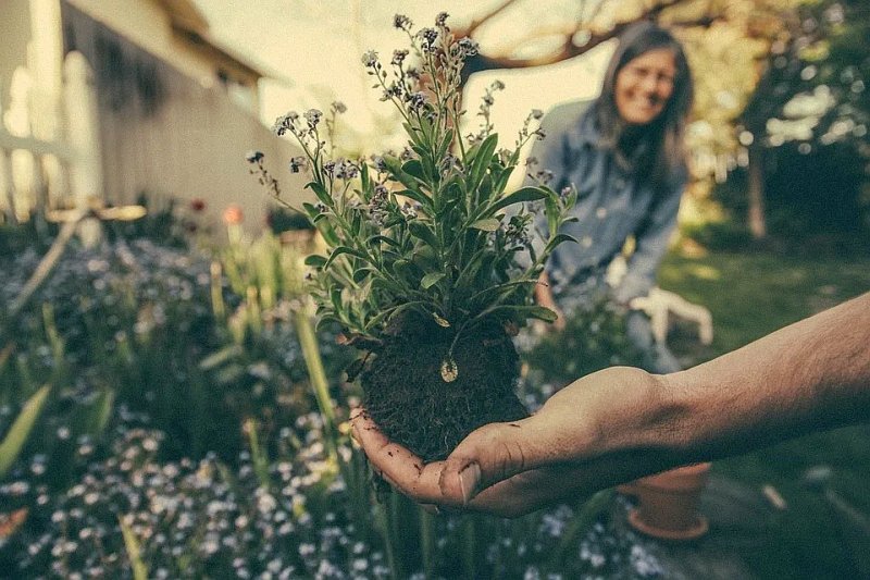 Gardening Can Help Improve a Person’s Body Image