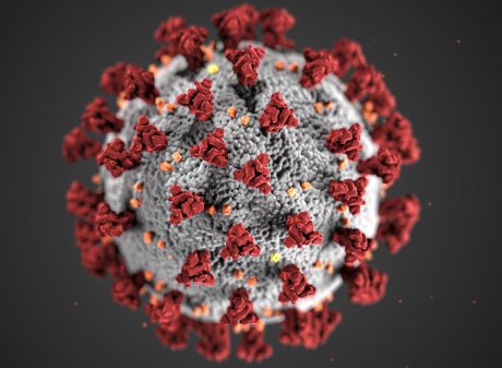 SARS-CoV-2 Virus Uses a Second Key Receptor to Infect Human Cells