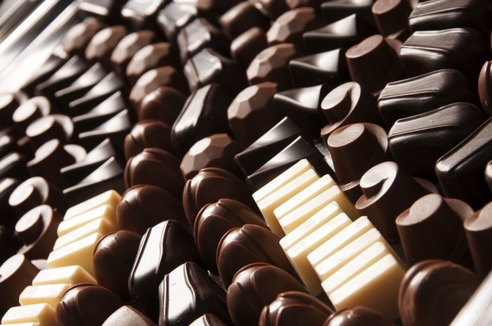 Eating Chocolate in the Morning May Help Burn Fat