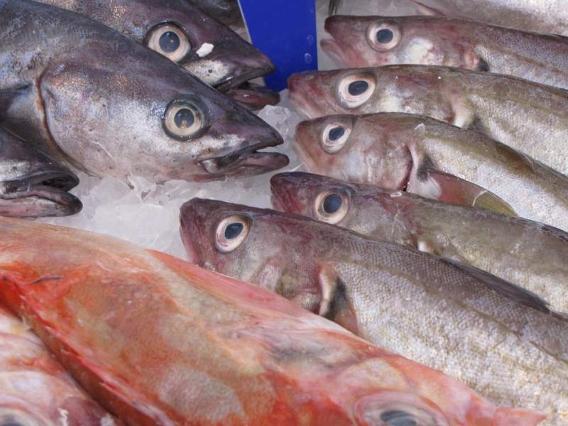 Fish stock can be renewed with ecosystem-based fisheries management.